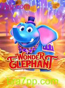 Descubra o Universo de WonderElephant: Uma Aventura Única